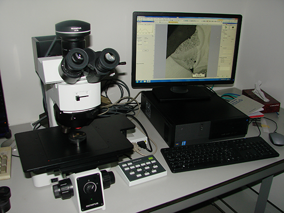 Olympus microscoop met 'Stream' software Olympus microscoop met 'Stream' software
