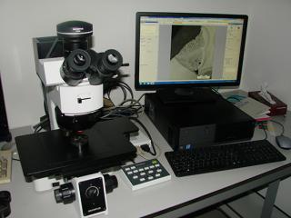 Olympus microscoop met 'Stream' software