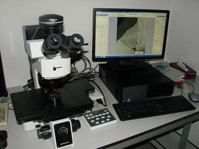 Olympus microscoop met 'Stream' software Olympus microscoop met 'Stream' software